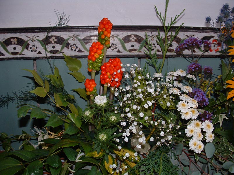 A Celebration Of Flowers 2008 28